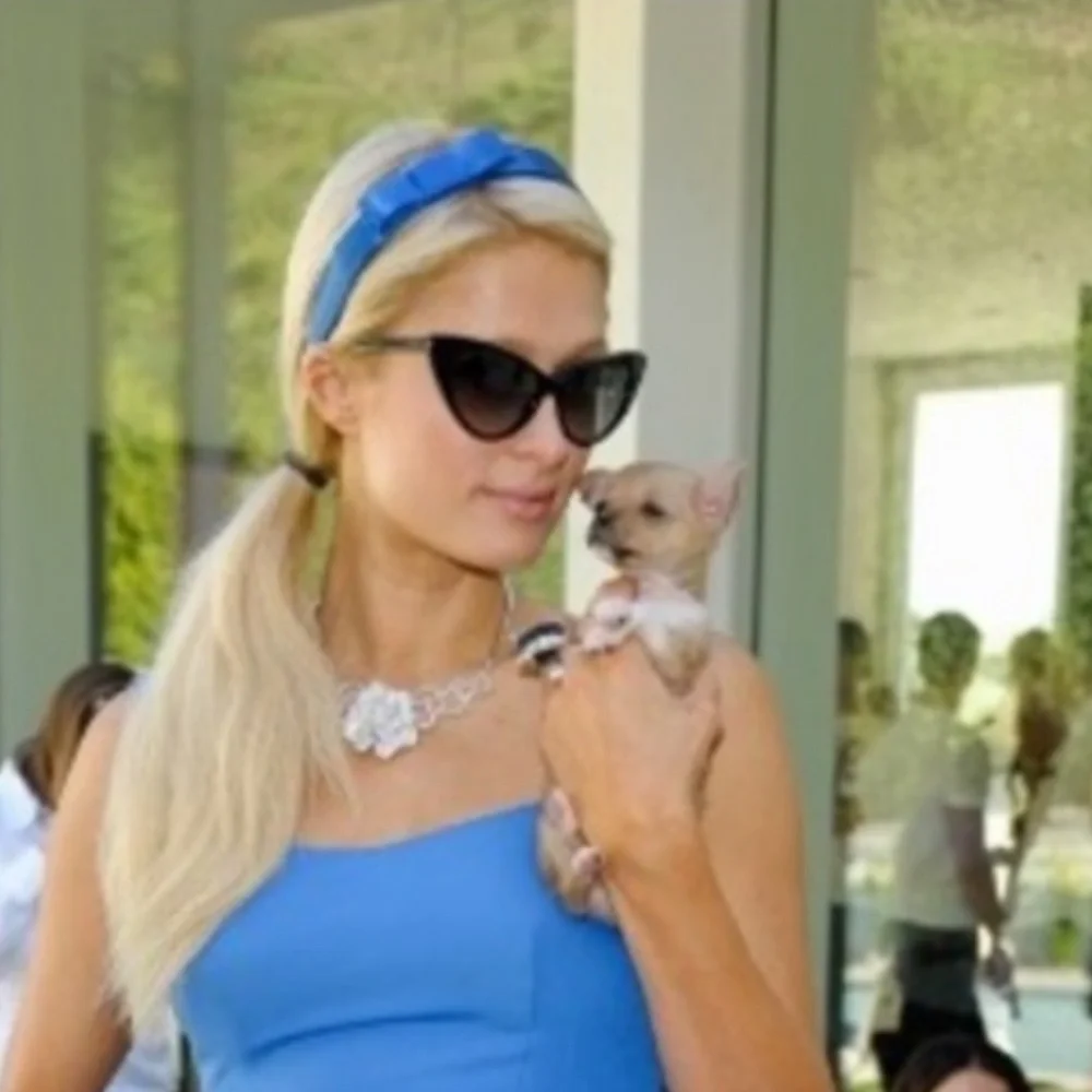Tom Ford Purple Sunglasses Anastasia